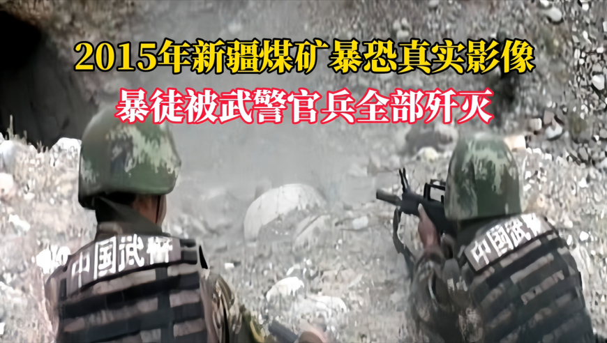 仙台有树 处处吻,管家婆一码一肖资料澳门天天彩,精准解释落实的人生哲理_网红版V8.58