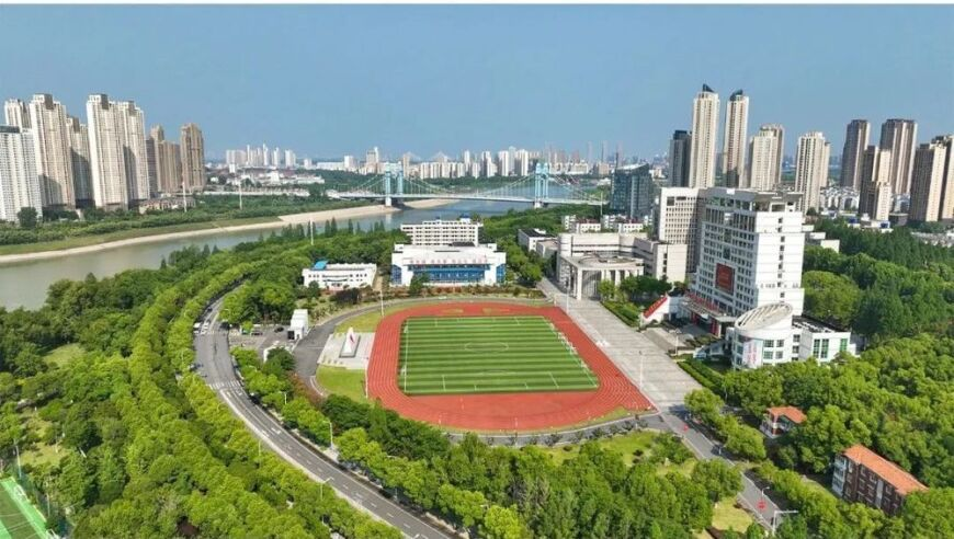 现货黄金跌破2900美元,澳门今期开奖结果开奖记录查询表格最新,广泛的解释落实方法分析_定制版V8.64